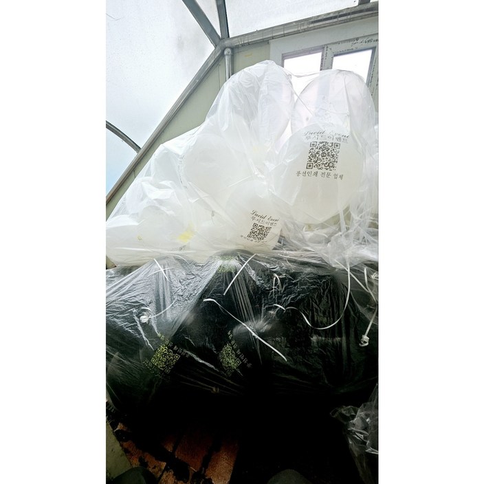 인쇄 풍선 제작