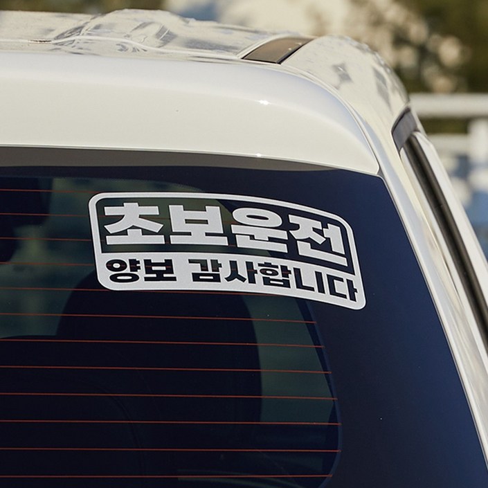 메이튼 스탠다드M 초보운전 탈부착 스티커