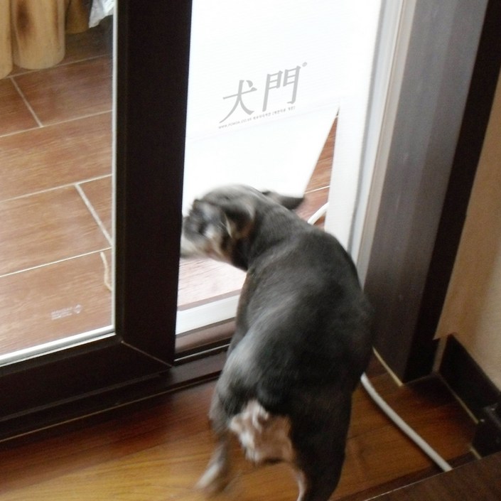 요기펫 베란다용 반려동물 안전문