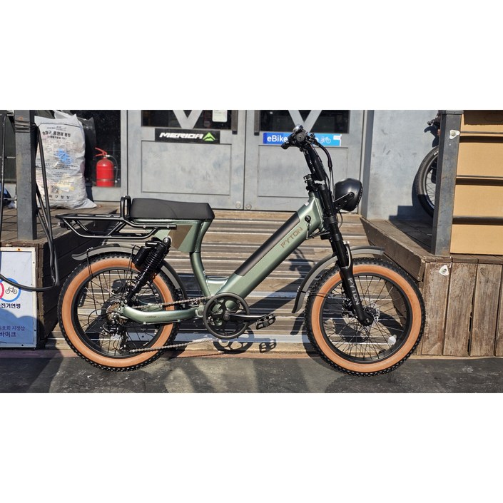 알톤 2025 전기자전거 파이톤20 48V 500W 모페드바이크 15Ah, 매트 모스, 50.8cm20인치