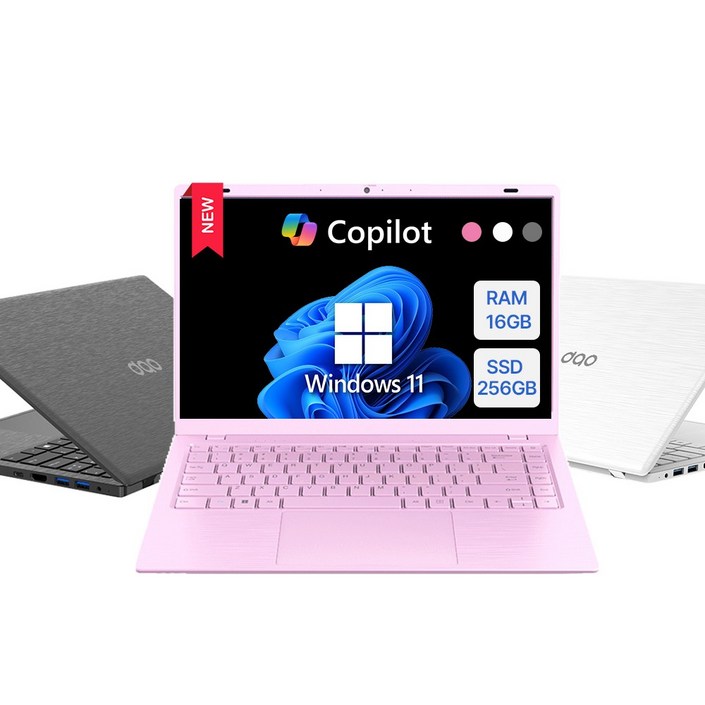 다오북 2025 14인치 1.32kg 윈도우11 탑재 컬러 노트북, 14N100CCP, WIN11 Home, 16GB, 256GB, 핑크