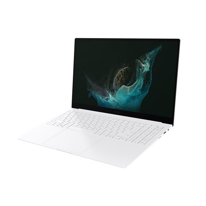 삼성전자 갤럭시북 프로 NT950XGQ-A51A 가성비 사무용 가벼운 대학생 15인치 노트북, NT950XGQ, WIN11 Home, 16GB, 512GB, 실버