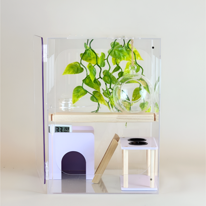 빌드몬스터 도마뱀 파충류 크레스티드게코 아크릴사육장 세트 25x25x35cm