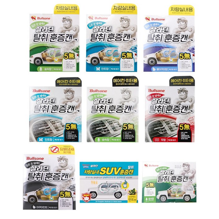 불스원 살라딘 훈증캔 차량탈취제 숲속향 본품