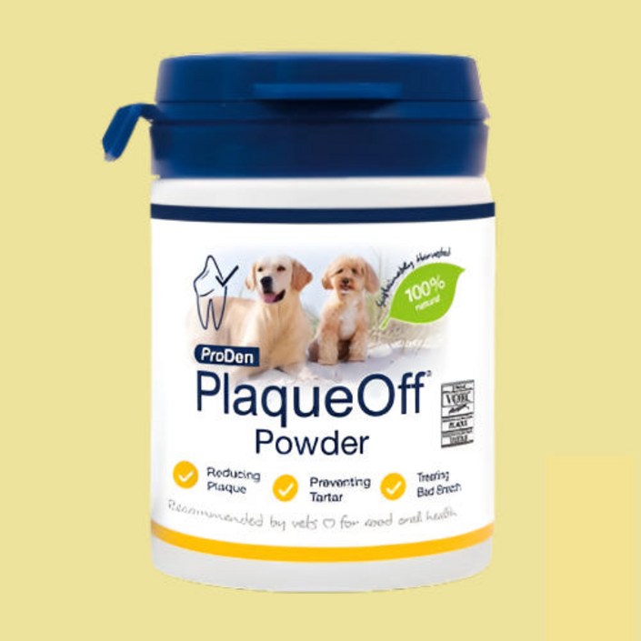 프로덴 플라그오프 파우더 강아지 독 덴탈 구강개선건강 40g, 1개, 40g, 파우더