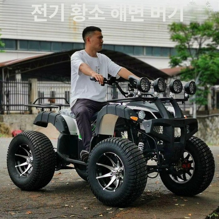 농사용 사발이 전동 버기카 1개 자동차 농업용 제이스튜