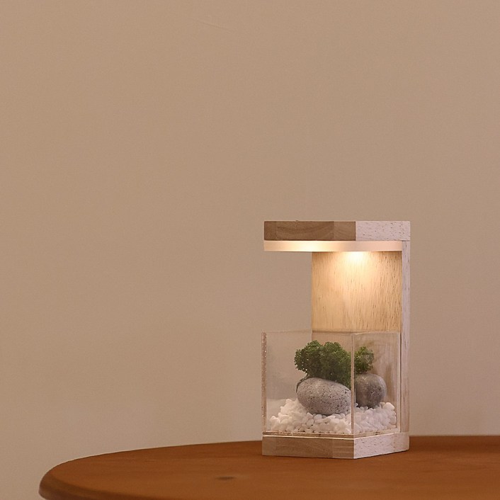 모던포인트 원목 플랜테리어 스칸디아모스 식물 LED 유선 무드등