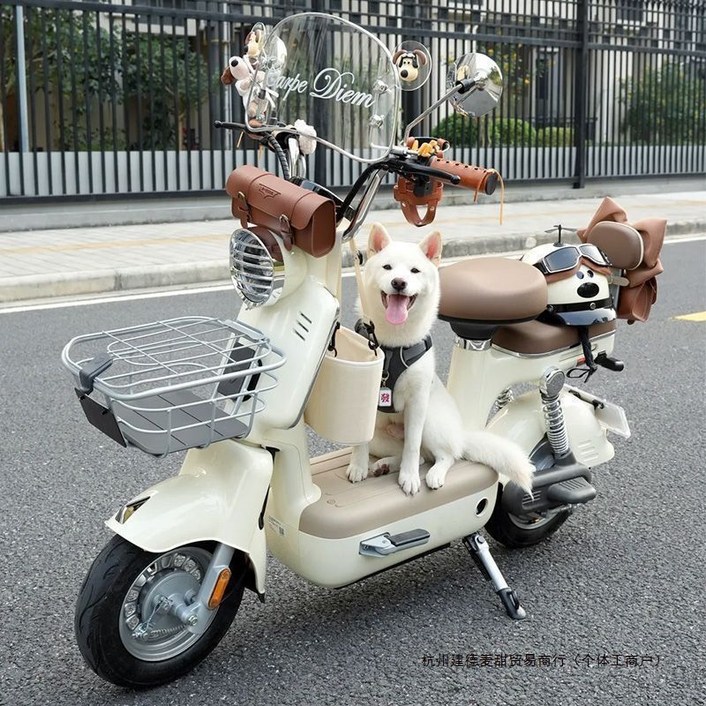 전기자전거 미니 전동스쿠터 여친 여성용 전기 자전거 통학용 등하원용 엄마생일선물