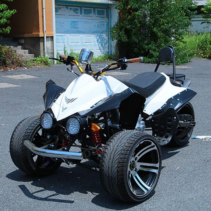역삼륜 오토바이 ATV 스포츠 전동스쿠터 바이크