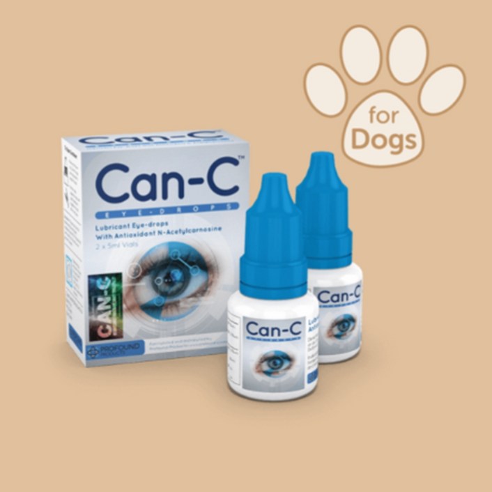 (국내발송) Can-C 강아지 Eye Drops 5ml X 2ea / Can-c / 강아지 백내장 / 강아지 안약 / 강아지 눈 혼탁 / Can-C 안약 / 캔씨 / 캔씨 안약