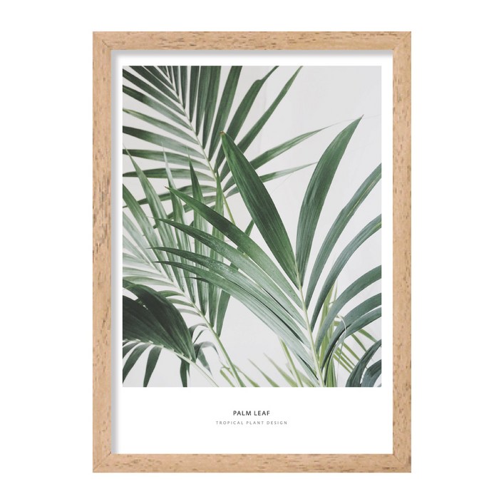 씽크어스 보타니컬 프레임 일러스트 08 팜리프H