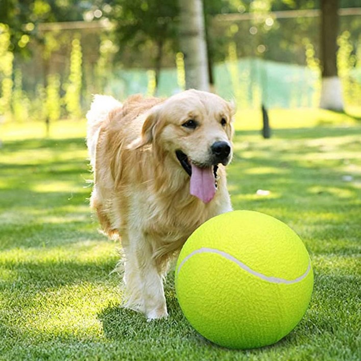 세이코코아 대형견 빅 테니스공 장난감