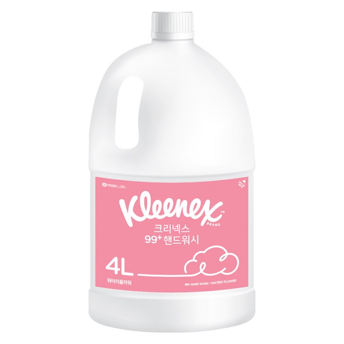 크리넥스 99 거품형 핸드워시 워터리플라워향, 4L, 1개