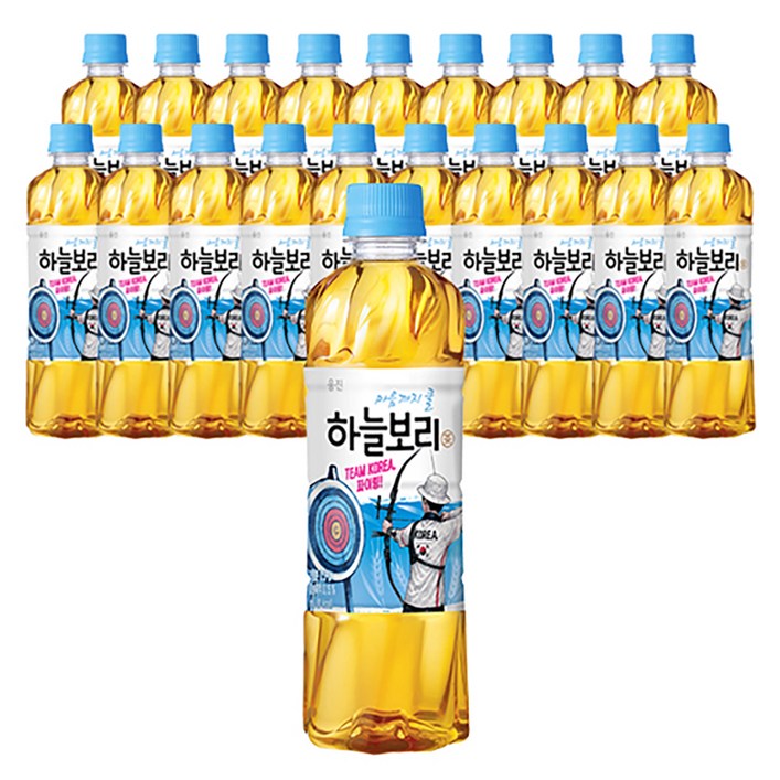 하늘보리, 500ml, 20개