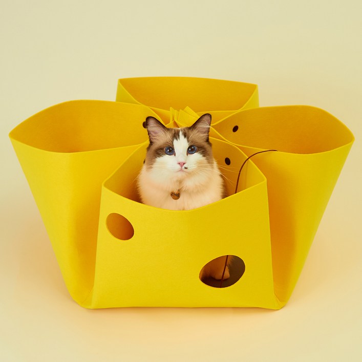 고양이섬 고양이 치즈만두 놀이터널 FREE