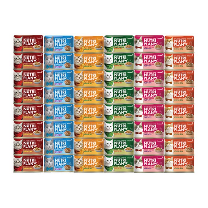 동원 뉴트리플랜 캣 습식캔 6종 콤보160g x 48개, 160g, 48개