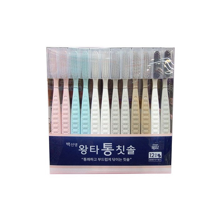 백선생 왕타 통칫솔 12입