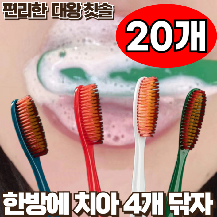 지빈 한방에 치아 닦는 대왕 헤드 칫솔 세트