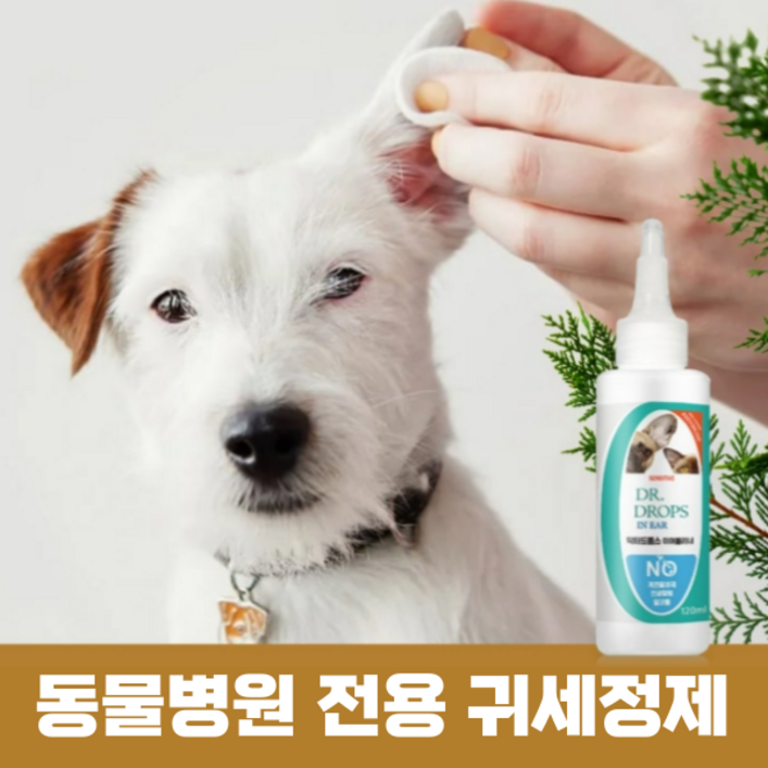 썬데이펫 강아지 귀염증약 귀세정제 귀청소 외이염 귀각질 고양이 귀지 귀냄새 귓병약 귀진드기약 소독약