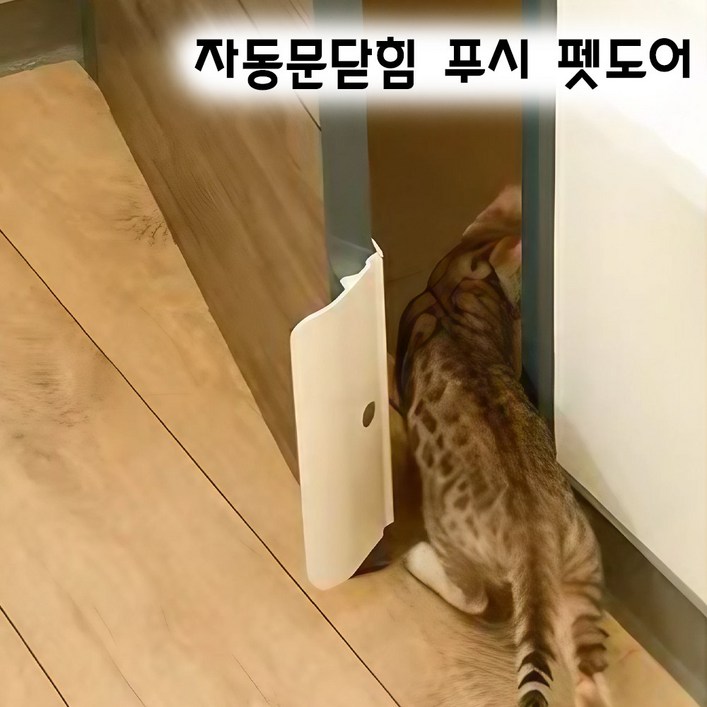 자동 문닫힘 펫 푸시 도어 애견 고양이 강아지 캣 출입문
