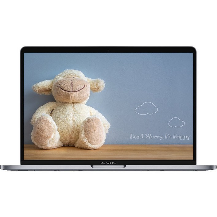 중고 애플 맥북프로 2019 A2141 16인치 i99880H 64G SSD 1TB 라데온 Pro 5500M 4G 터치바 스페이스 그레이, 맥북프로 A2141, MAC OS, 64GB, 1TB, 스페이스그레이