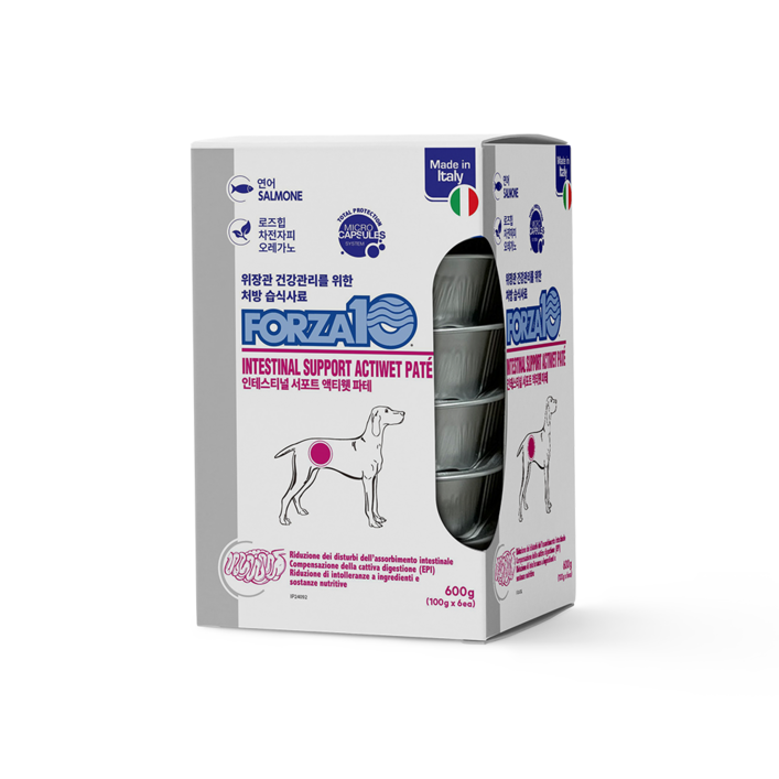 포르자10 액티웻 독 인테스티널, 6입, 10개, 600g, 연어