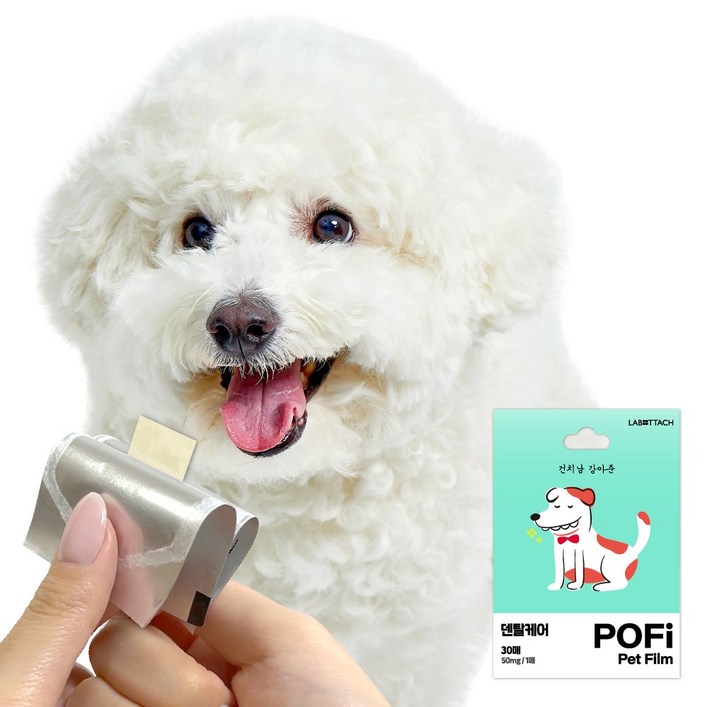 양치 못하는 강아지 전용 덴탈필름 라보타치 포피펫 30매