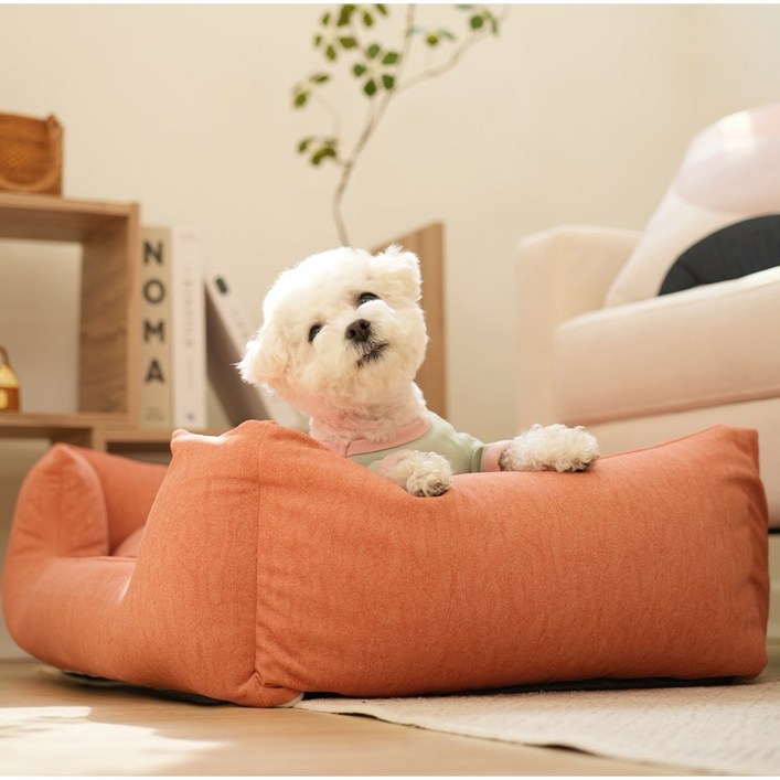 강아지 슬개골 안심 힐링 배드 방석, 1세트, 오렌지