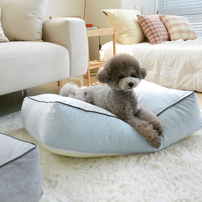 쁘리엘르 원스 극세사 사각 강아지 방석