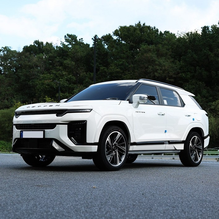 차이룸 액티언 호환 레터링 엠블럼 튜닝 용품