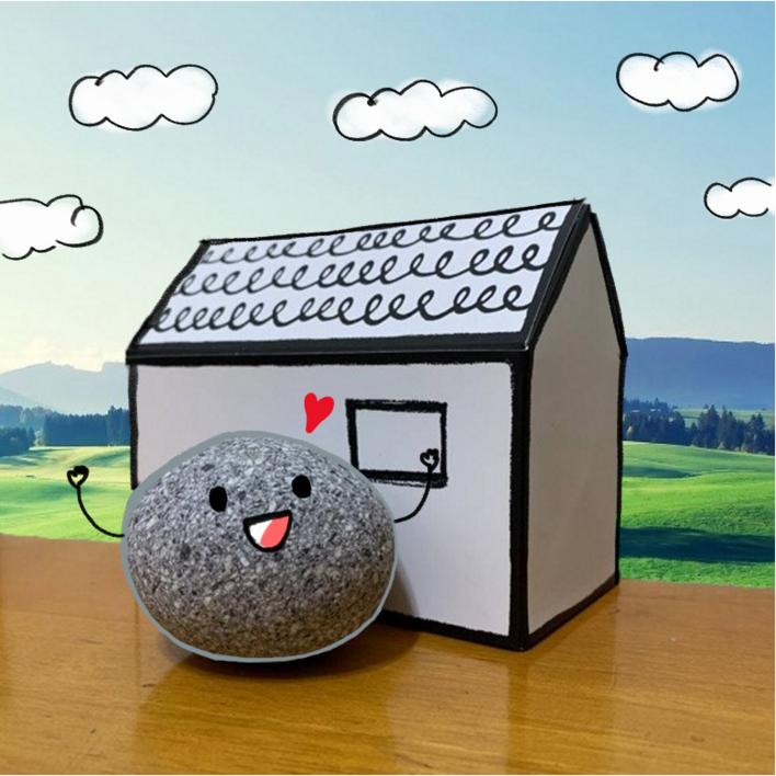 애완돌 pet rock 오리지널 반려석 미우새 애완돌