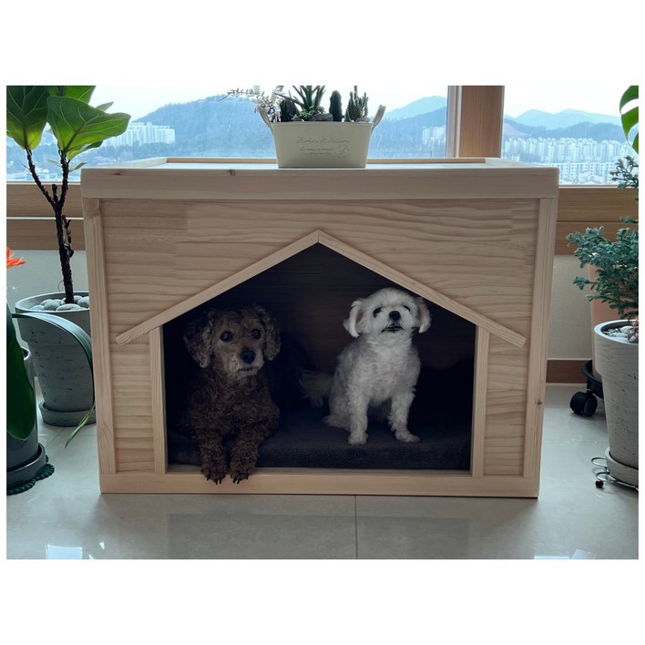이너피스 원목 국내산 여름 강아지 집 애견하우스 특대형 3종, 1개
