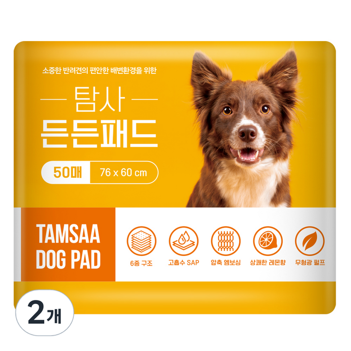 탐사 고흡수 든든패드 레몬향