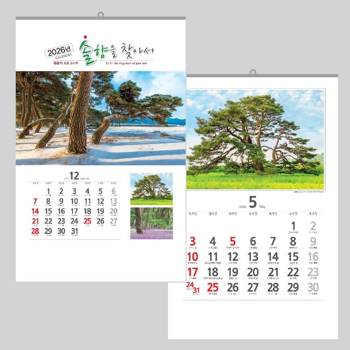 40x60cm 벽걸이 카렌다 2026 솔향을 찾아서 벽 달력