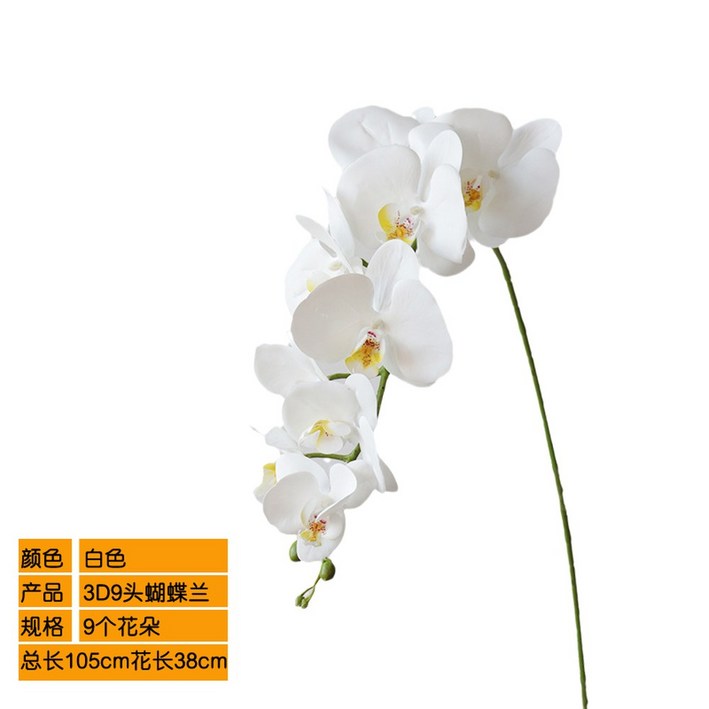 가벼운 촉감 보습 10 40g 오브 오드퍼퓸 본품 175ml 오르페옹 휴대용 27G2