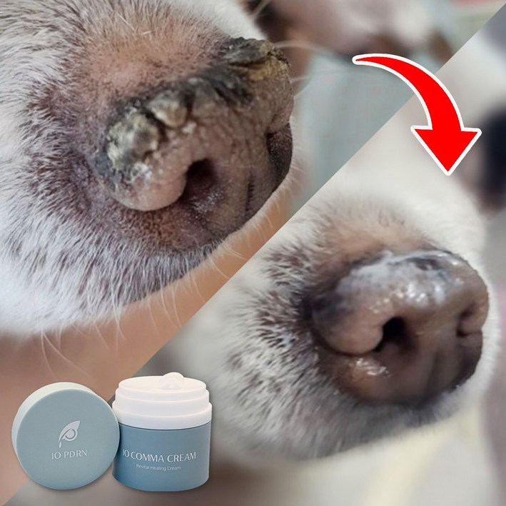 강아지 고양이 피부 발 보습제 밤 로션 습진 연고 코 건조 PDRN 크림, 1개, 50ml 강아지 고양이 피부 발 보습제 밤 로션 습진 연고 코 건조 PDRN 크림, 1개, 50ml