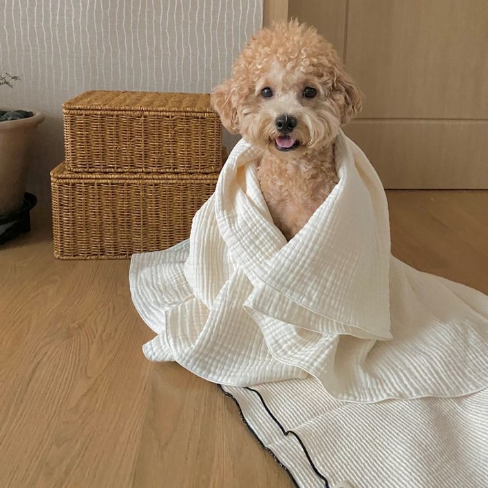 순면100 강아지이불 애견담요 블랭킷 켄넬담요, 베이지7090, 1개 순면100 강아지이불 애견담요 블랭킷 켄넬담요, 베이지7090, 1개