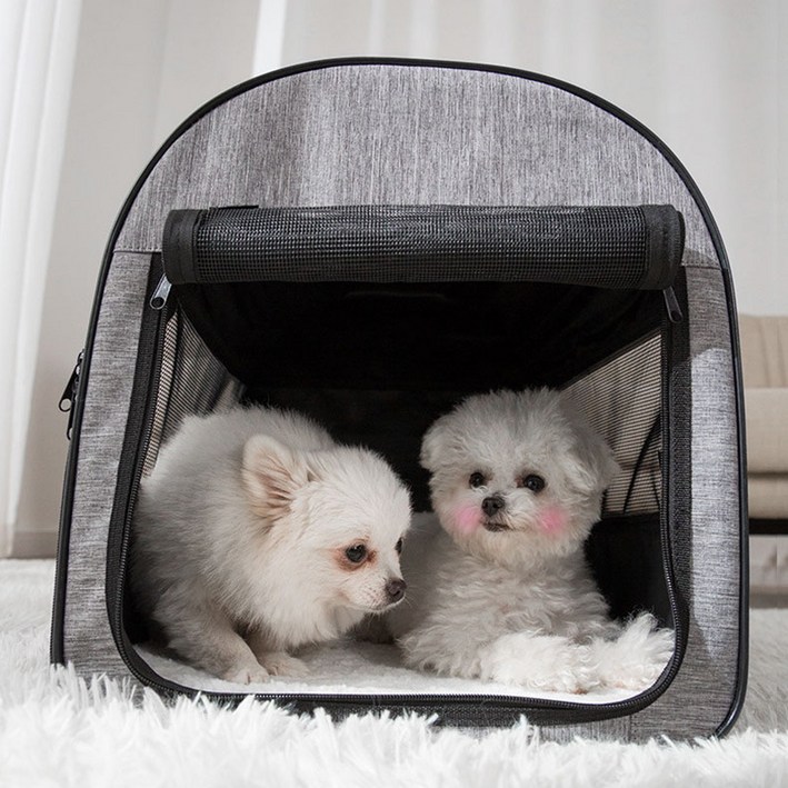 멍멍집사 COZY 소프트켄넬 접이식 기내용가방 고양이 케이지 강아지 이동장 차량용, 1개 멍멍집사 COZY 소프트켄넬 접이식 기내용가방 고양이 케이지 강아지 이동장 차량용, 1개