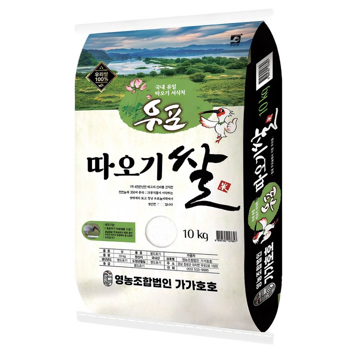 우포따오기 백미