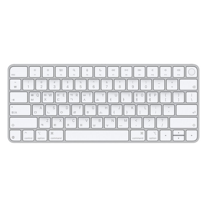 Apple 2024 Touch ID Magic Keyboard
