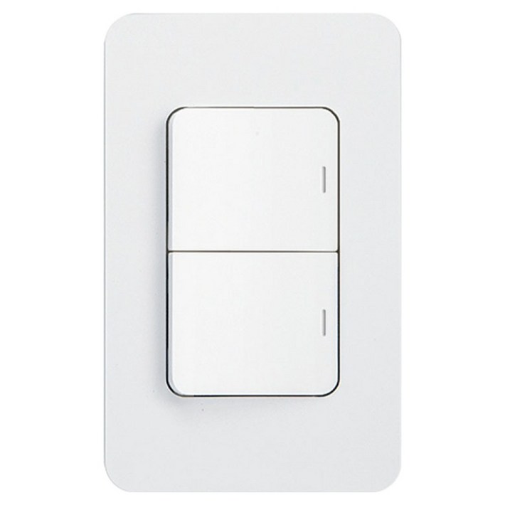 제일전기 스위치 단로 2구, 1개