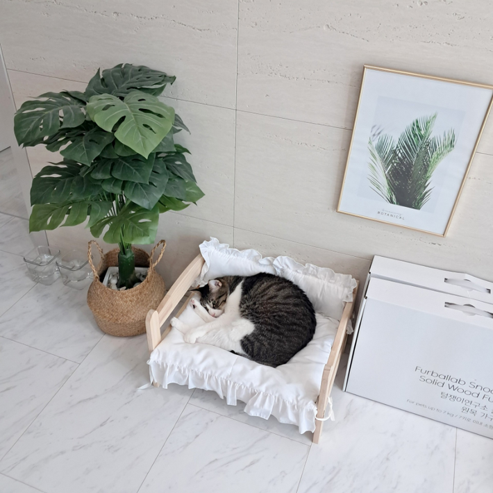 털쟁이 연구소 솔솔침대 고양이, 소형견용 사이즈 M