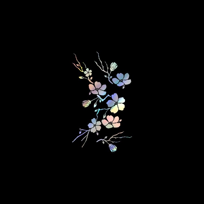 자동차포인트 00816 매화 튜닝스티커, 화이트, 1개