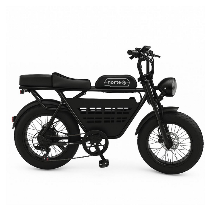 노르테 전기 자전거 자토바이 전동 스쿠터 팻바이크 MTB 배달용 출퇴근용, Y1 럭셔리, 스틸