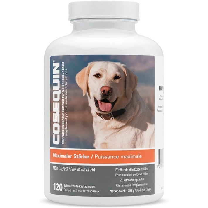 Nutramax Cosequin MSM 관절영양제 글루코사민 콘드로이틴 120정 반려동물 관절보조제 강아지 건강보조제