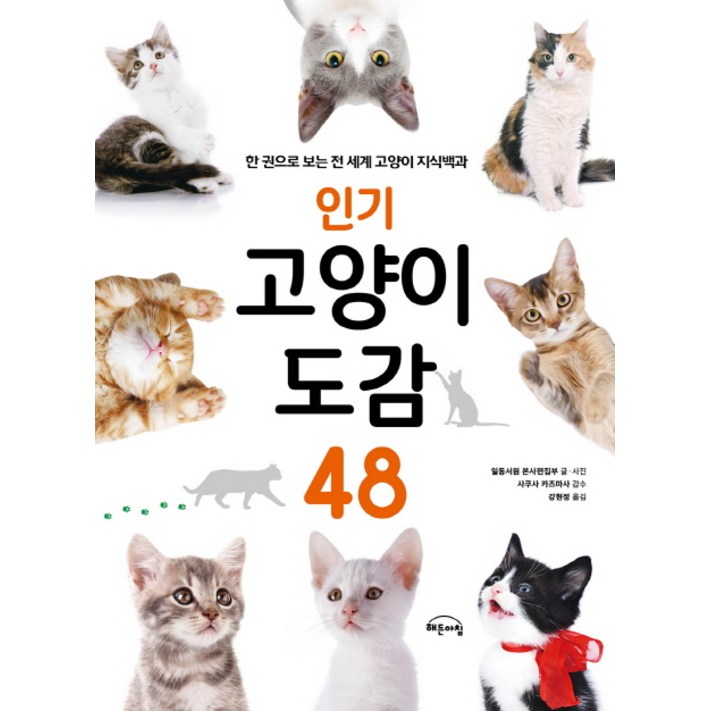 인기 고양이 도감 48한 권으로 보는 전 세계 고양이 지식백과 인기 고양이 도감 48한 권으로 보는 전 세계 고양이 지식백과