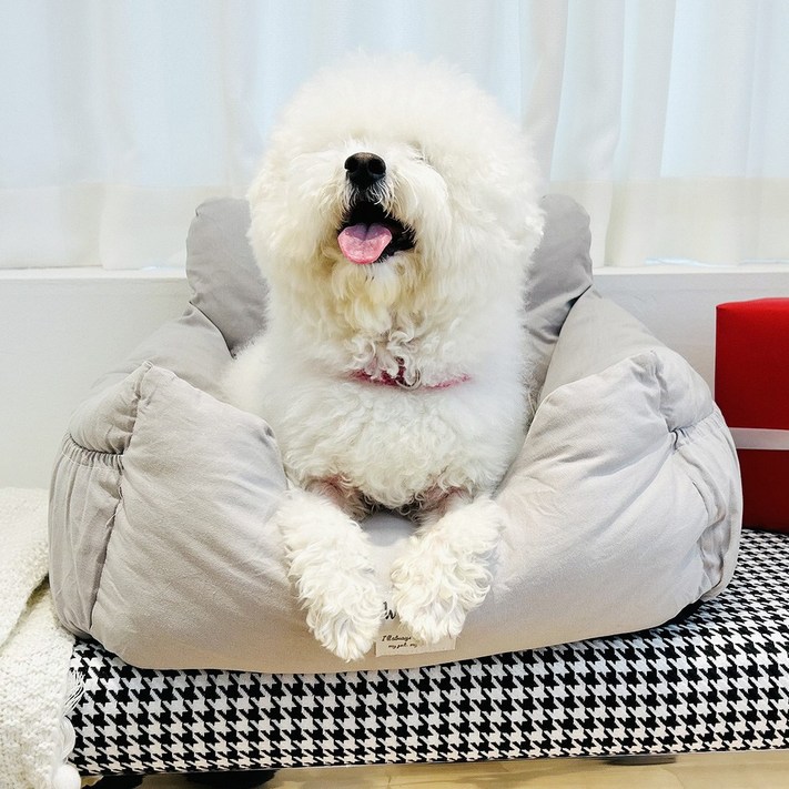 앙플러스 강아지 반려동물 카시트