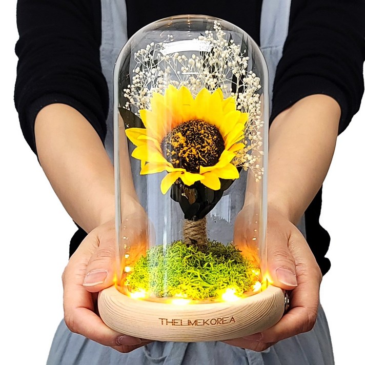 더라임코리아 풍수 해바라기 LED 유리돔 무드등 집들이 이사 개업 선물, 단일색상 더라임코리아 풍수 해바라기 LED 유리돔 무드등 집들이 이사 개업 선물, 단일색상