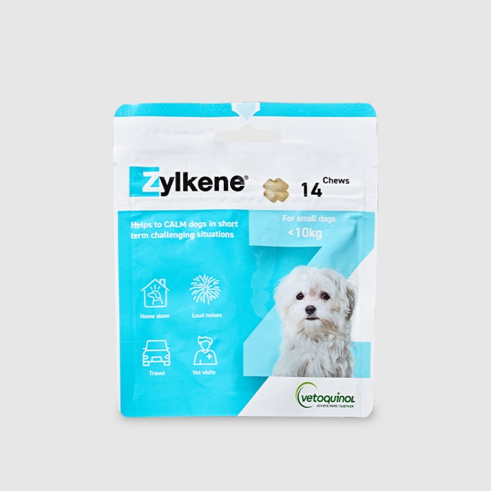 베토퀴놀 반려동물 질켄 영양제