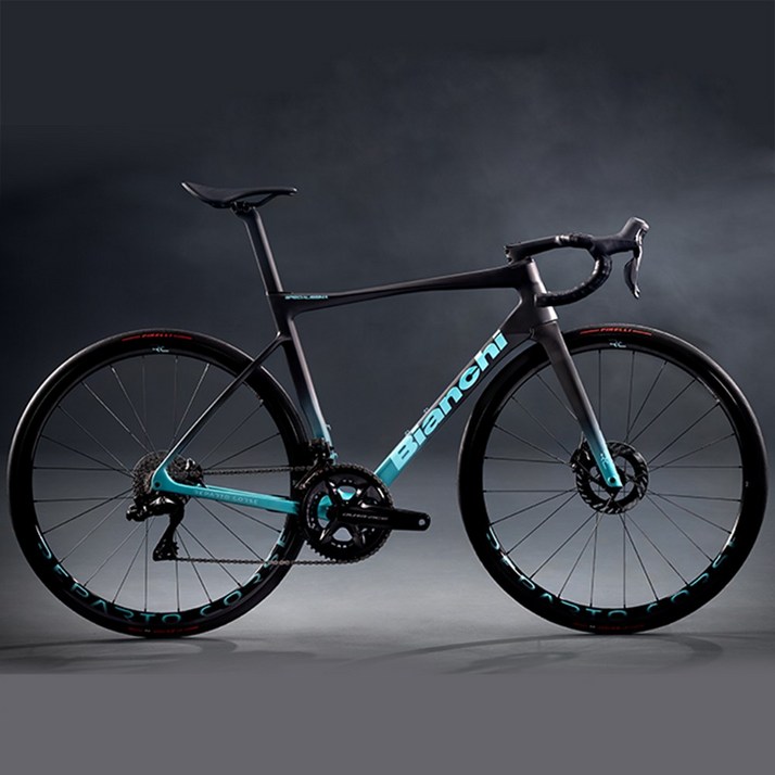 비앙키 스페셜리시마 RC 슈퍼레코드 무선 24단 피크 4550 에볼루션 휠 데칼 선택 로드 자전거, 1개